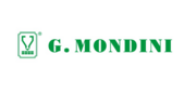 Mondini